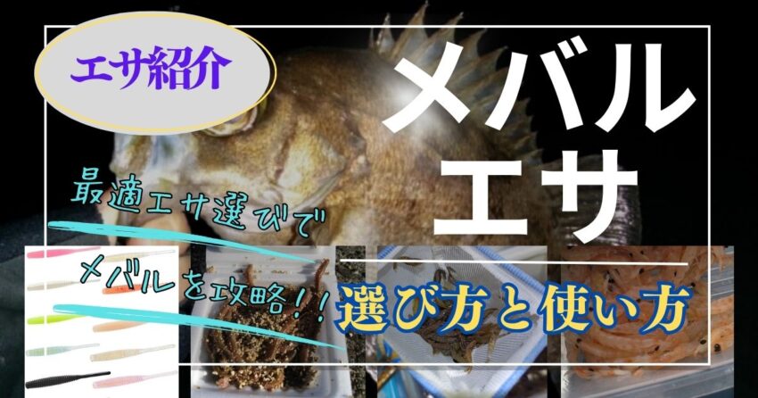初心者必見！メバル釣りに最適なエサの選び方と使い方