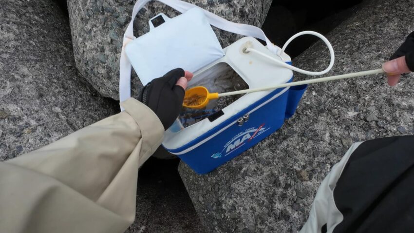 シラサエビは最強エサで総合的にも一歩抜けた存在