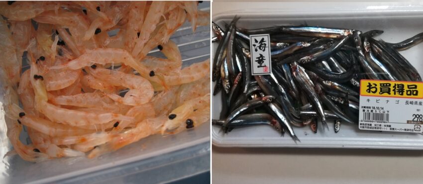 入手は容易でも食いは落ちる死にエサ
