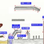 クロダイの釣り場とポイント