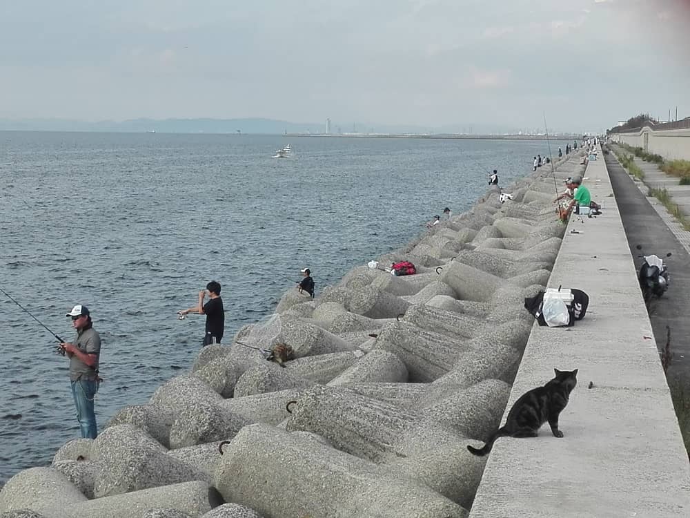 人気のタチウオが釣れる釣り場は大混雑