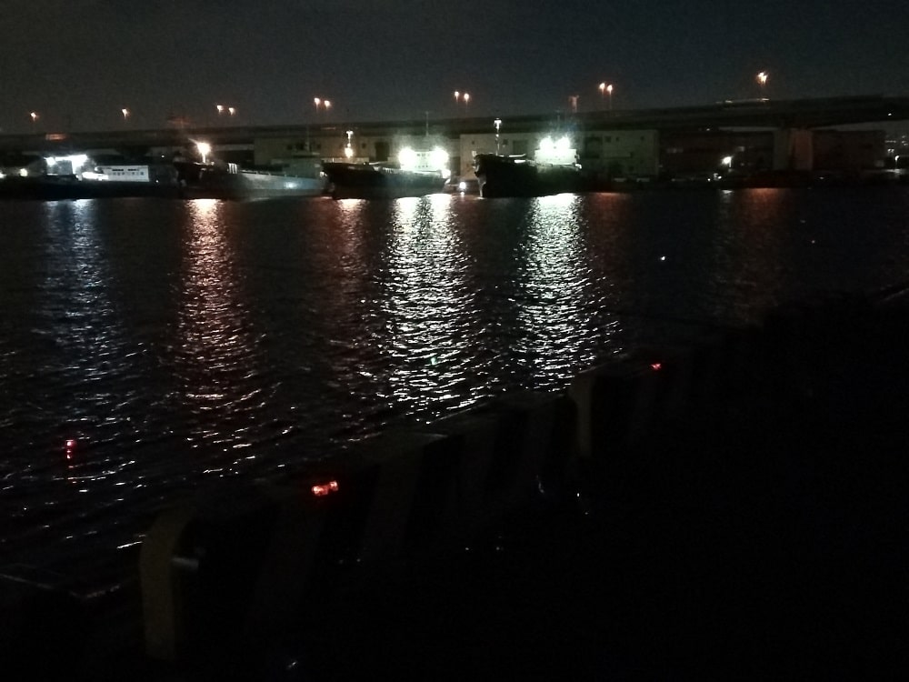 シーズン後半は湾奥の釣り場でも楽しめる