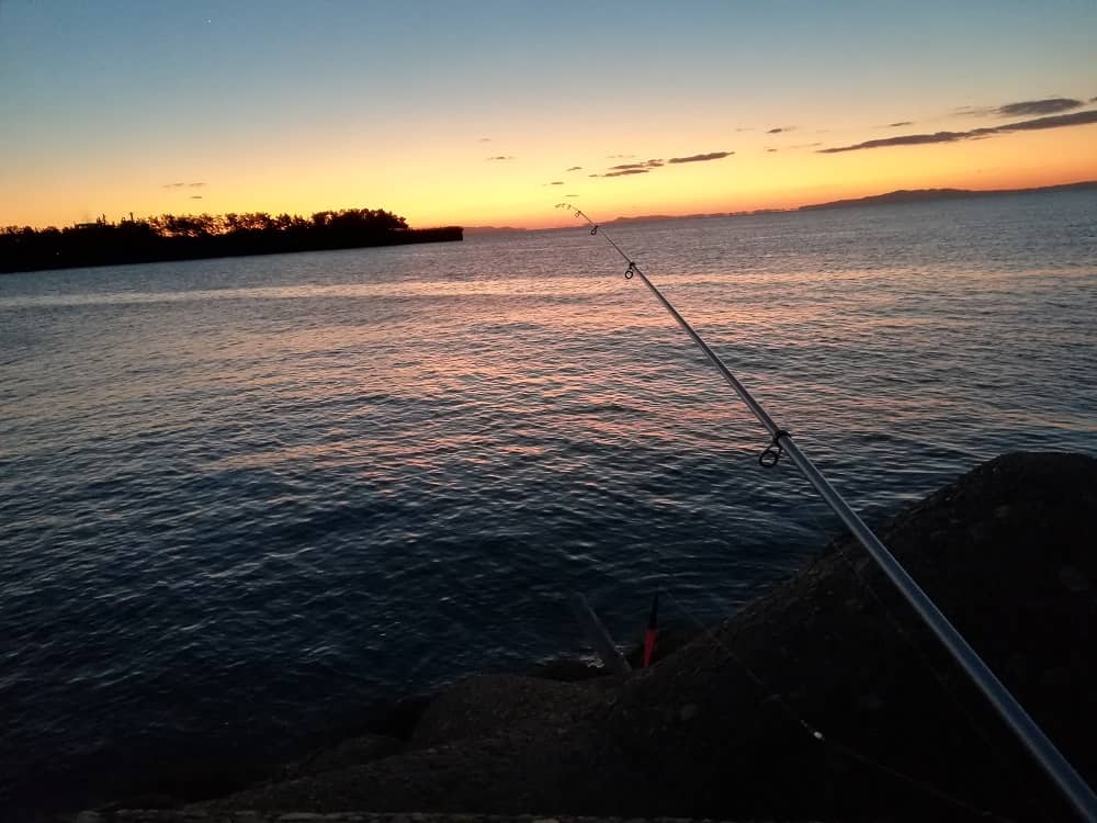 タチウオが釣れる時間帯は夕マズメが一番