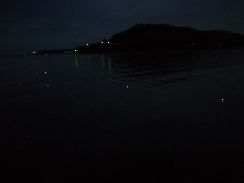 深夜の時間帯でも釣果が期待できるタチウオ