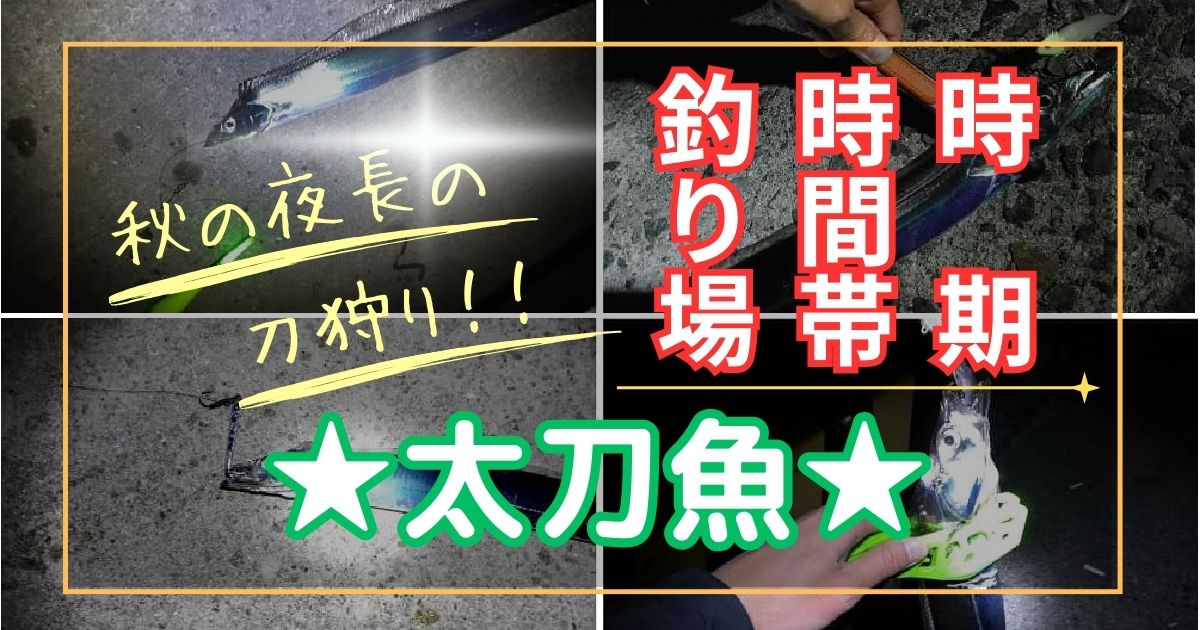 【太刀魚（タチウオ）】釣れる時期と時間帯、釣れる場所