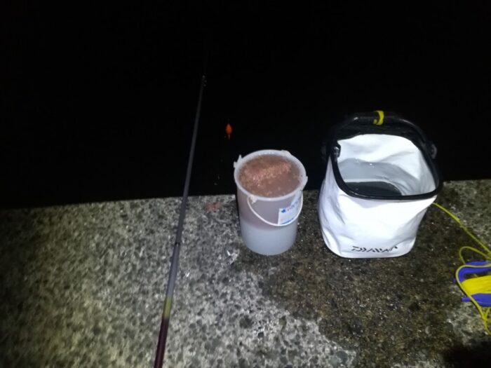 サビキ釣りは夜の時間帯でも釣れる