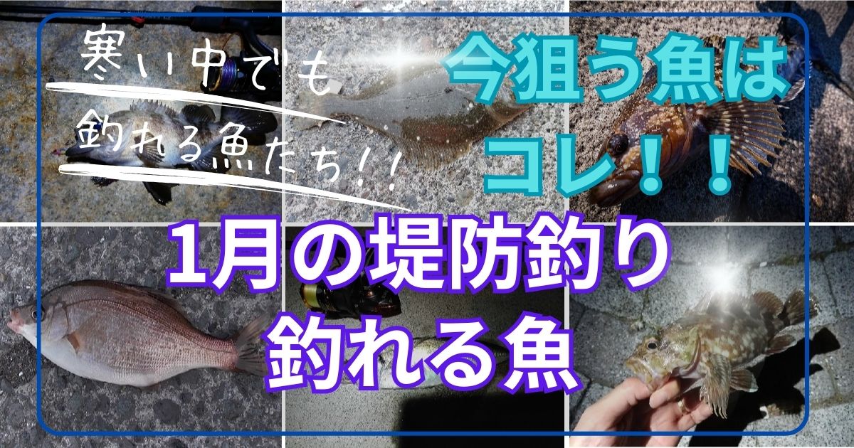 1月の堤防釣りで釣れる魚とおすすめの釣り方