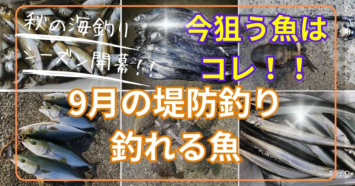 9月の堤防釣りで釣れる魚とおすすめの釣り方
