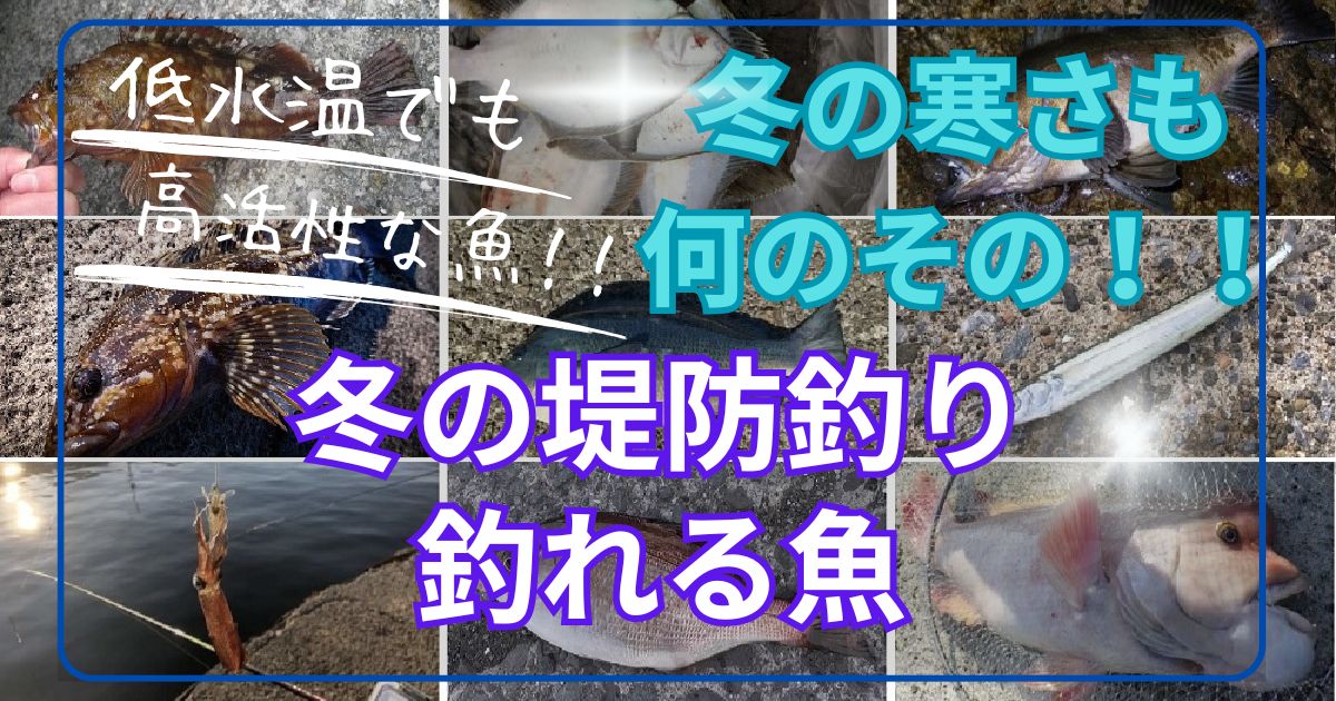 冬に釣れる魚【堤防釣り（海釣り）】