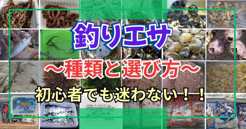 海釣りエサの種類と選び方　～初心者におすすめの万能エサ3選～