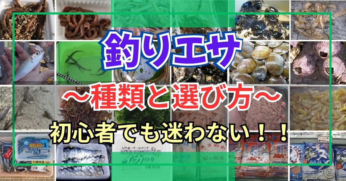 海釣りエサの種類と選び方　～初心者におすすめの万能エサ3選～
